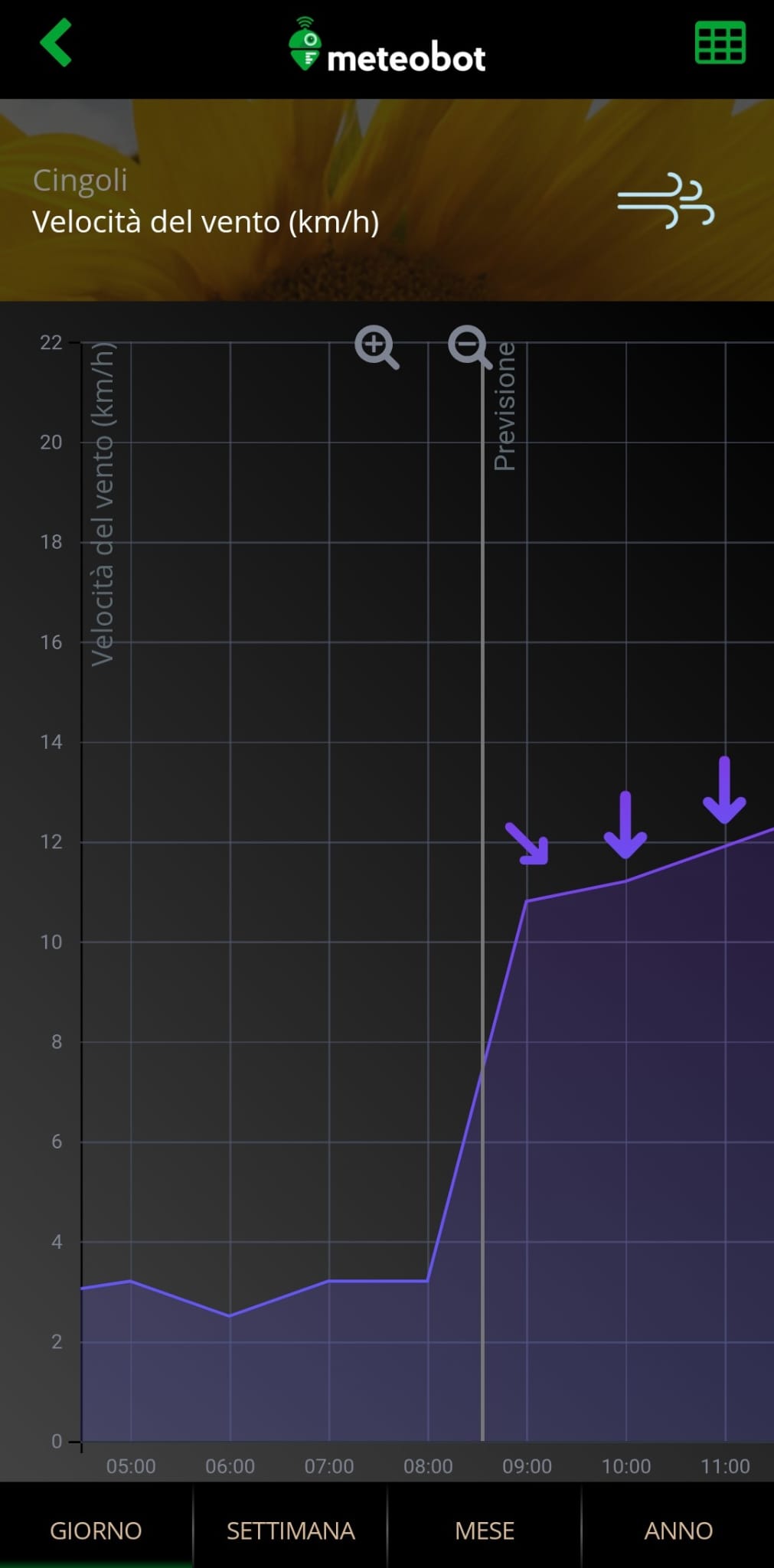 mteobot storico e provisione
